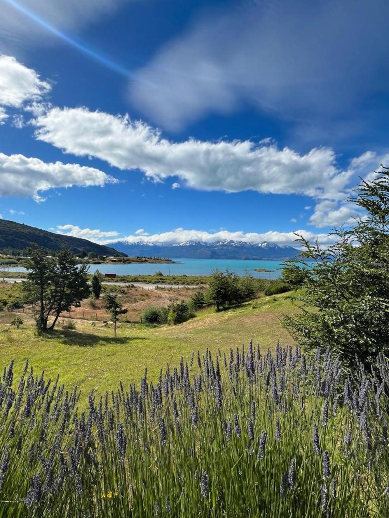El Arrayan Βίλα Puerto Guadal Εξωτερικό φωτογραφία